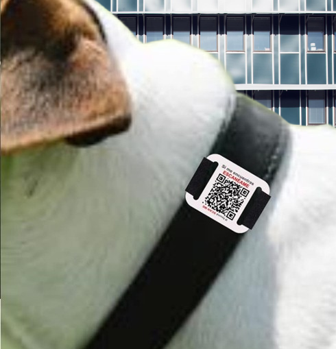 Kiuar Aid Pet Cuadrado